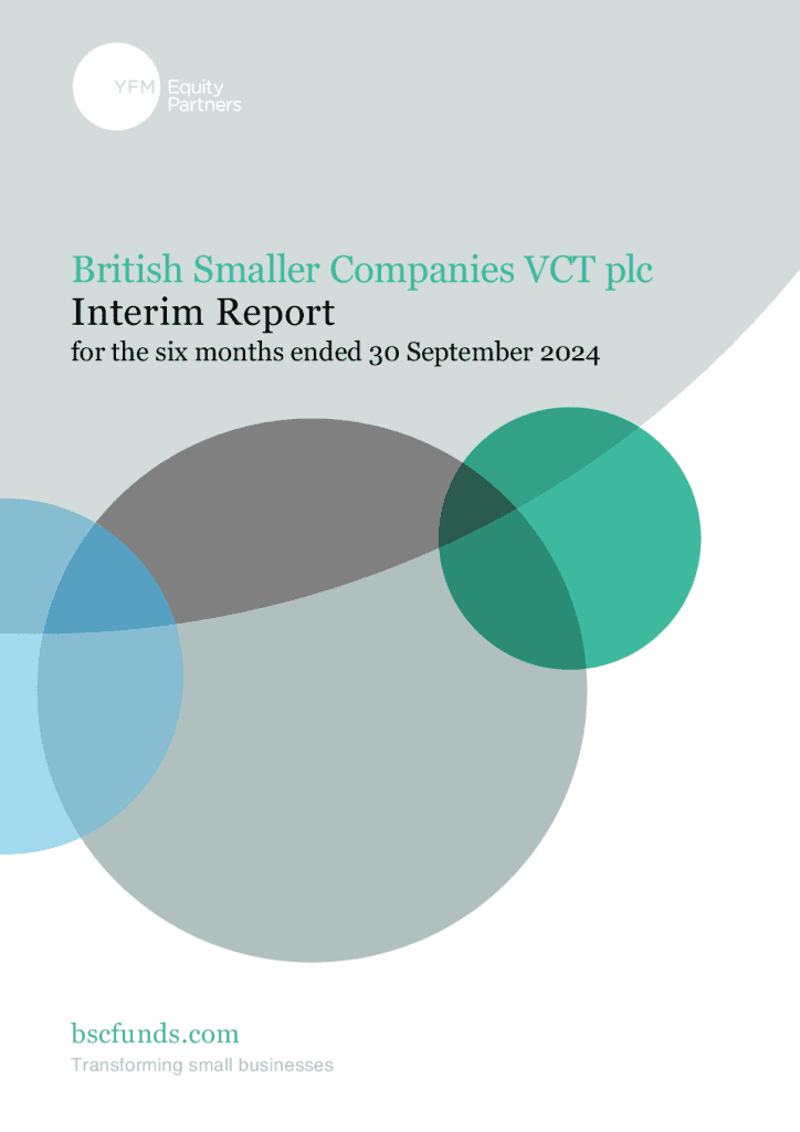 BSC Interim Report PDF